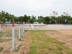  coral shores Elevation