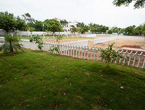  coral-shores Elevation