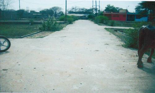  new-eden-garden-colony Internal Roads