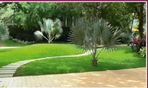  smart-homes Landscaped Gardens