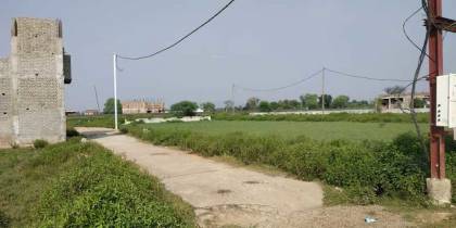  monarch-city Elevation