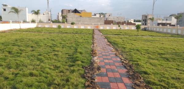  shree-reva-dreamzz Plot