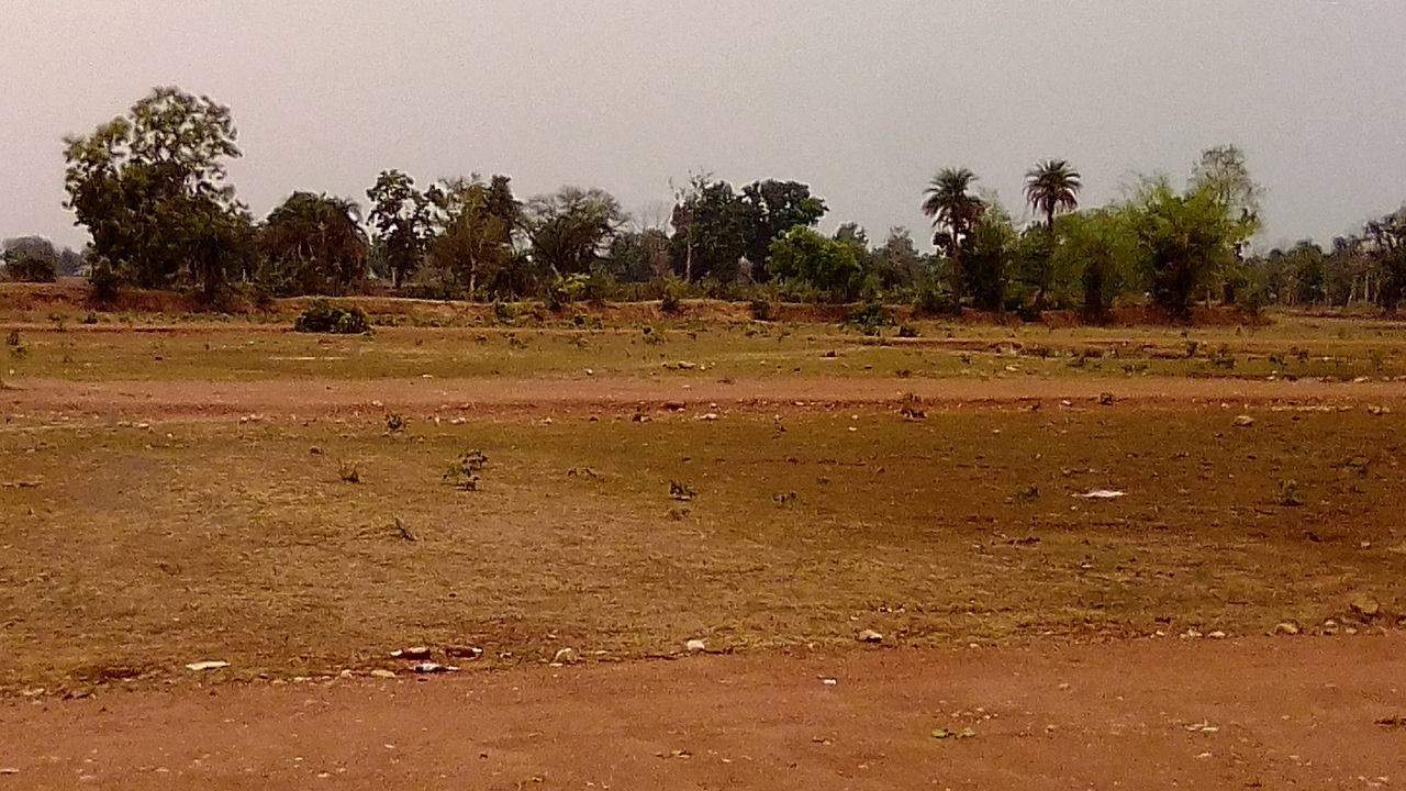  anwar ali plots Plot