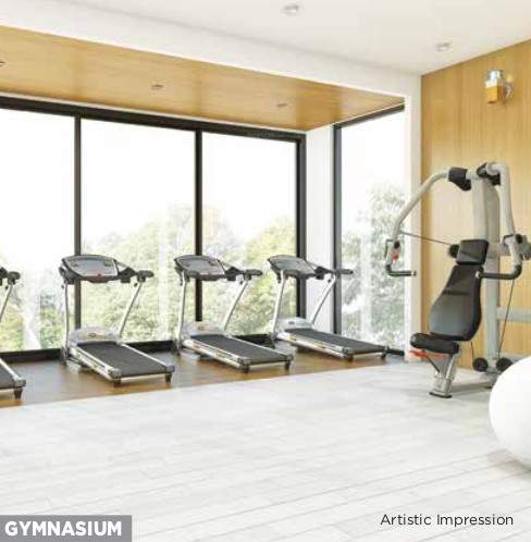  codename wonderland phase 1 Gymnasium