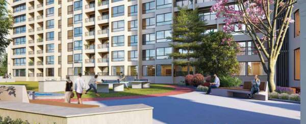  codename-wonderland-phase-1 Senior Citizen Sitout