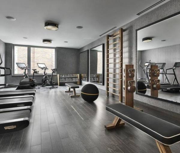 Gymnasium the-harmony Gymnasium