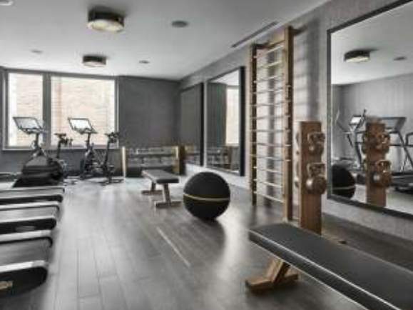  the harmony Gymnasium