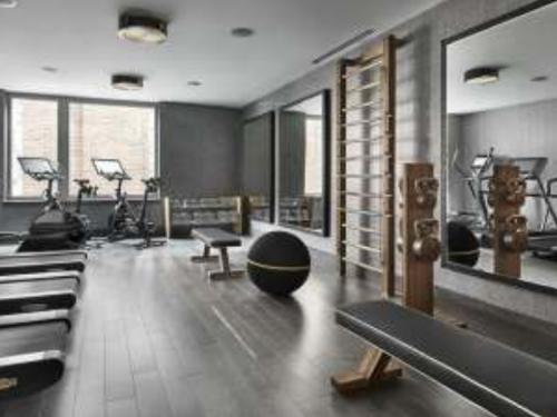 Gymnasium the-harmony Gymnasium