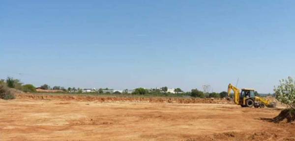  falcon-city Elevation