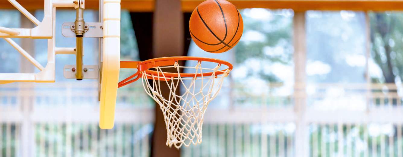  avalon Basketball Court