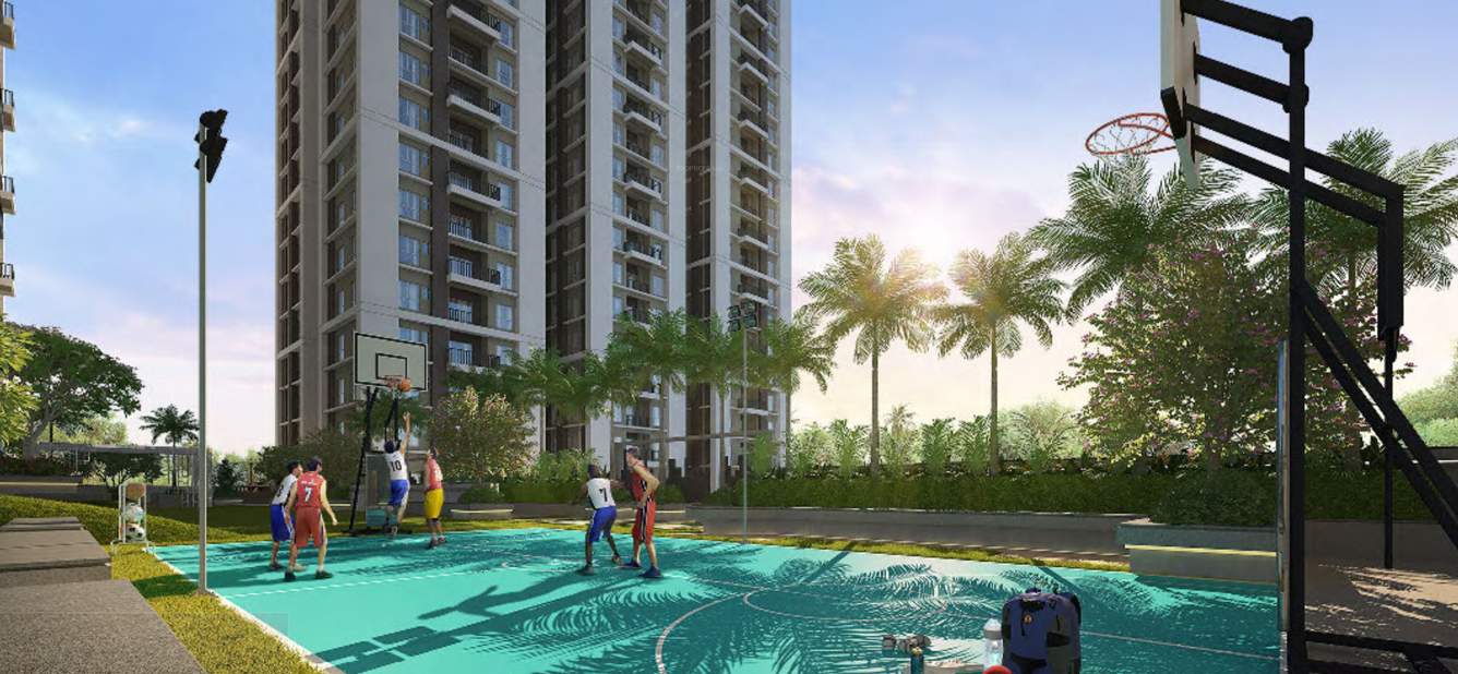 vista Basketball Court