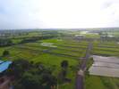 Green Valley