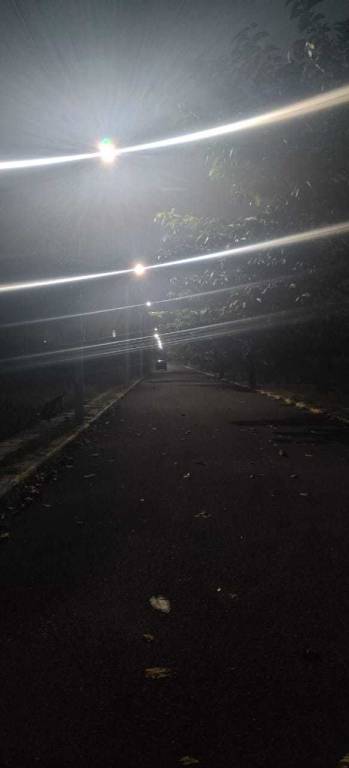  nayana greens Elevation