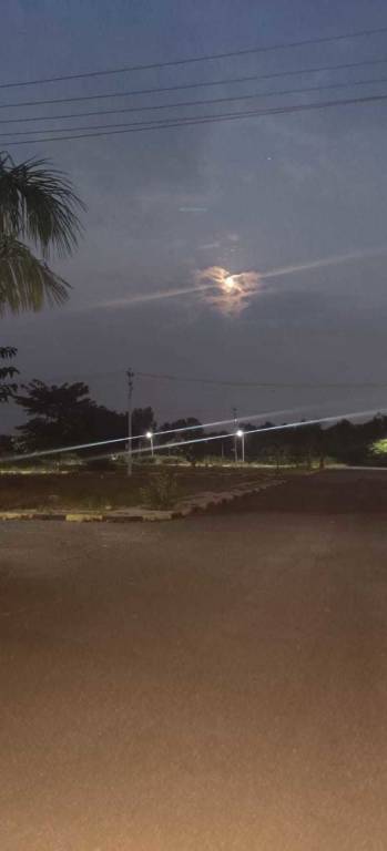  nayana greens Elevation