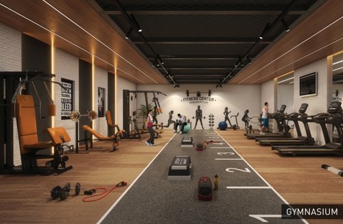  aundh-renaissance Gymnasium