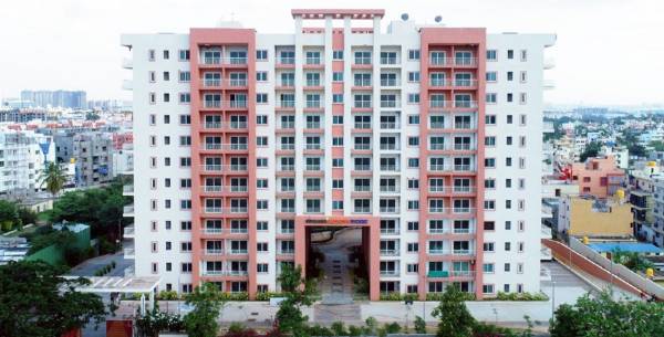  northridge-neo Elevation