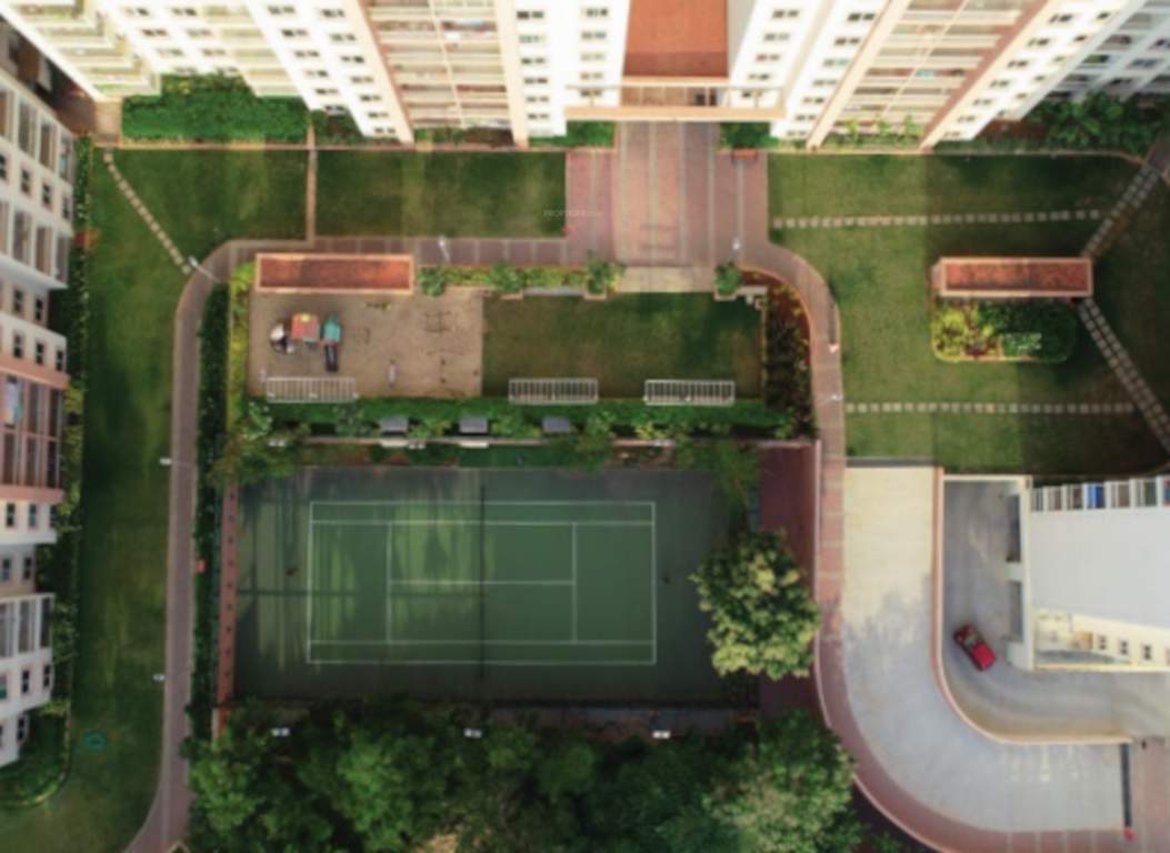  northridge neo Sports Area