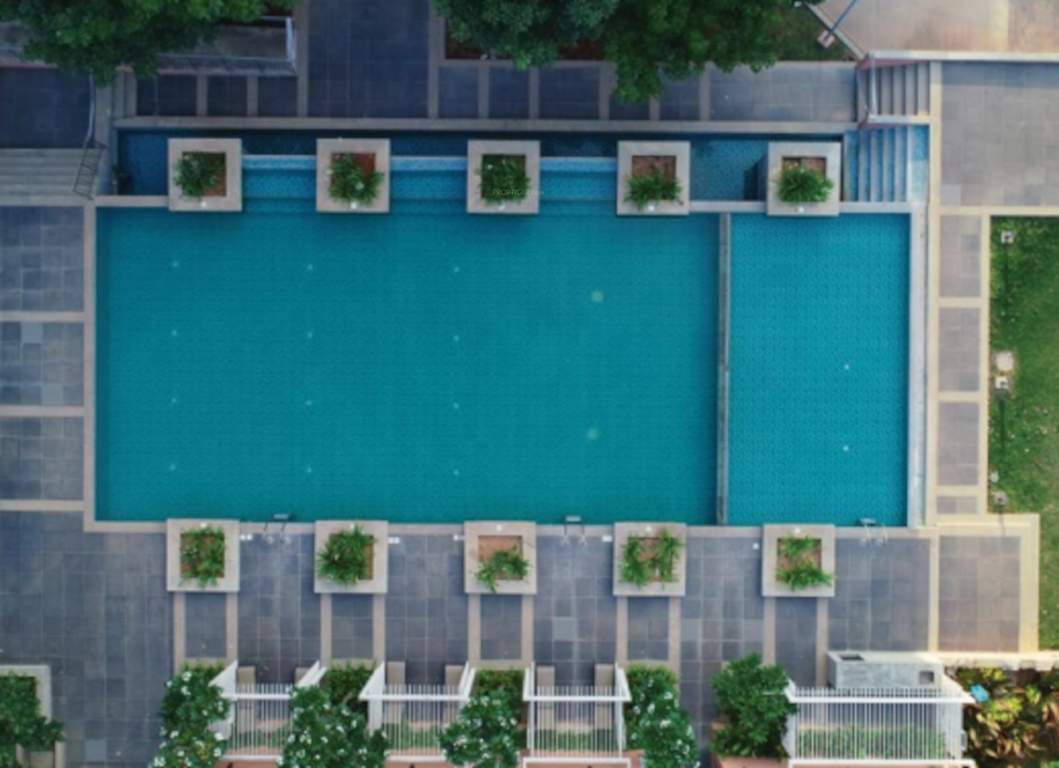  northridge neo Swimming Pool