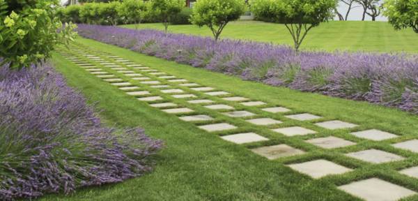  ananda Landscaped Gardens