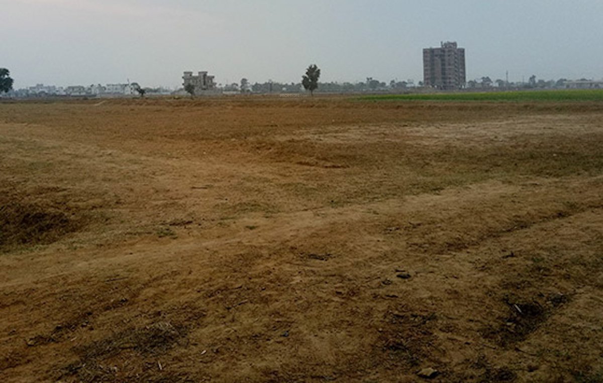 chandralok city m n p block Plot