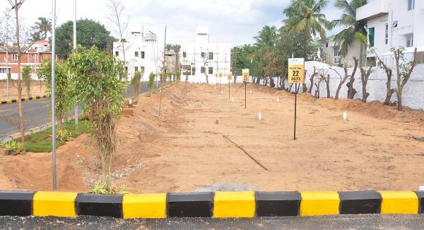  beach-walk Elevation