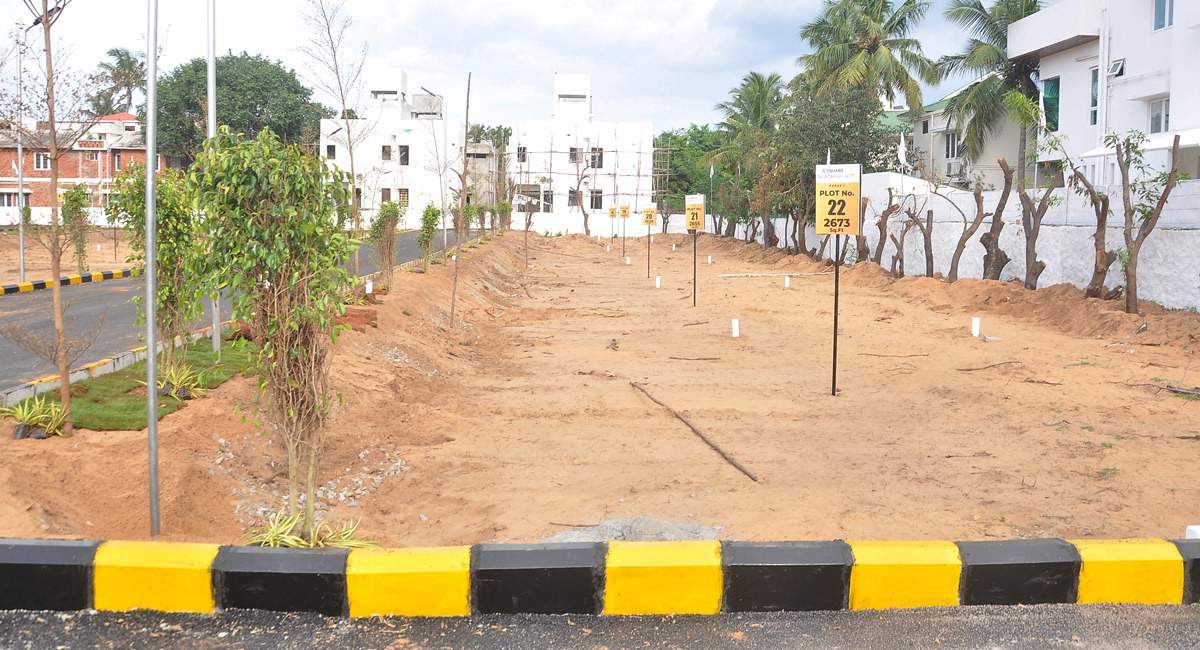  beach walk Elevation