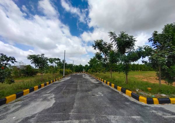  emerald-city Internal Roads