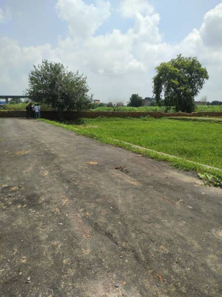  force-colony Internal Roads