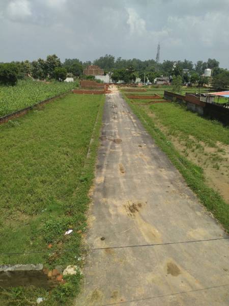  force-colony Internal Roads