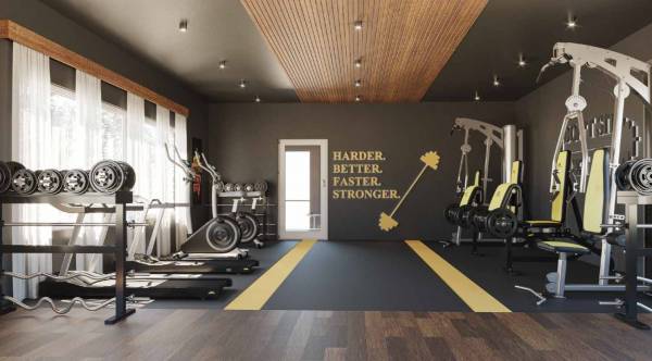 Gymnasium amara Gymnasium