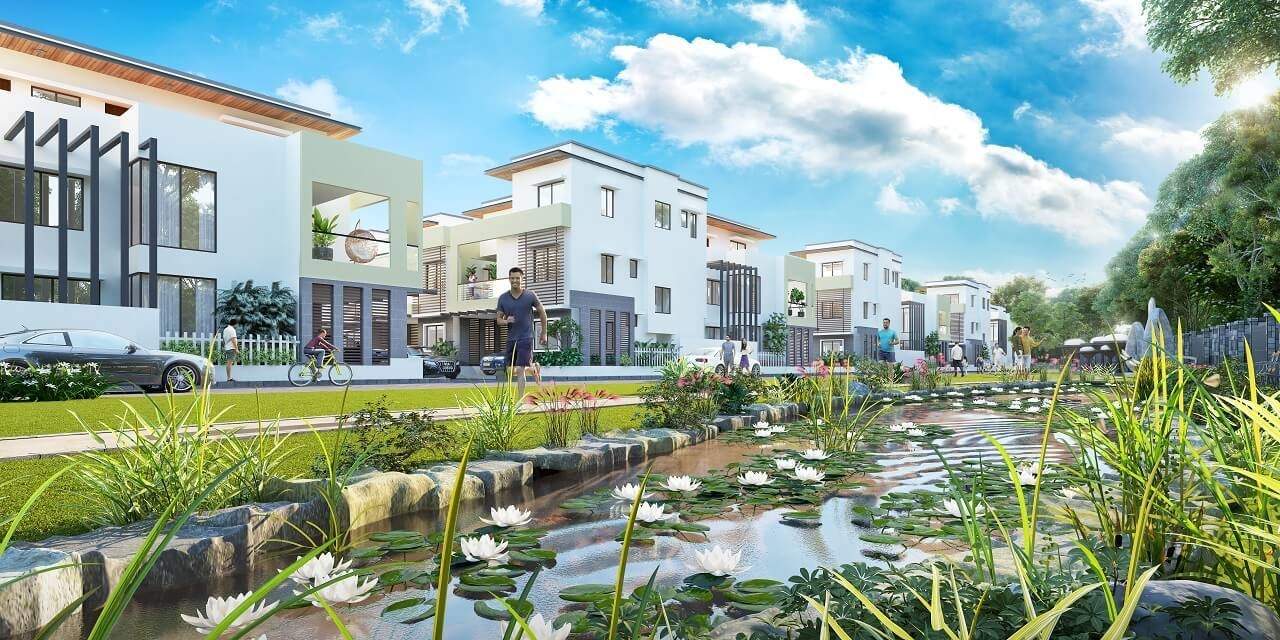  chirping grove Elevation