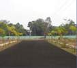 Raaga Mayuri Vantage