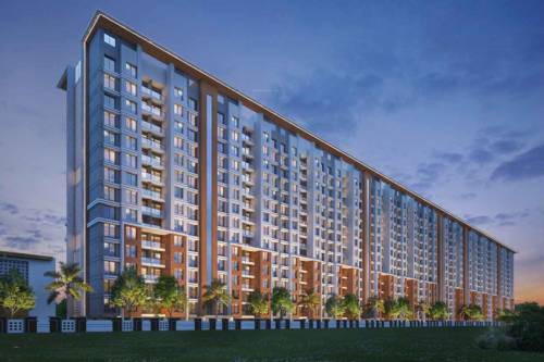  tremont-d-e-and-f-wings Elevation