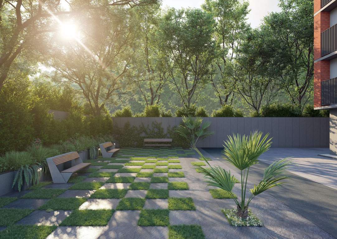  beryl crystal Landscape Garden and Tree Planting