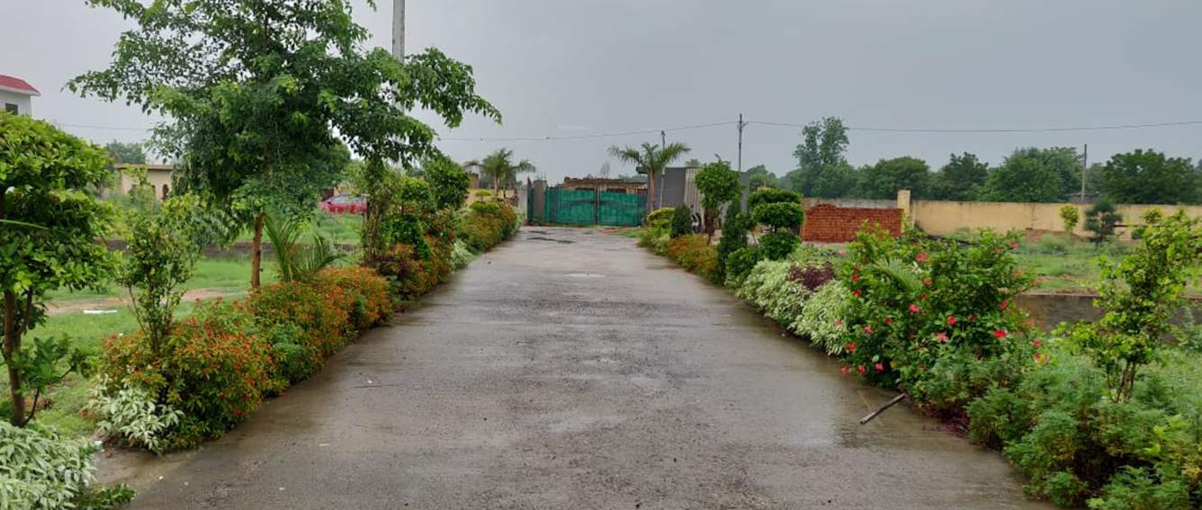  greens Internal Roads