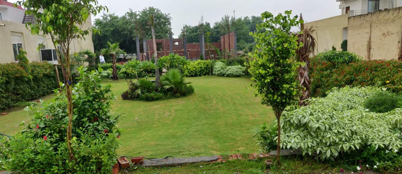  greens Plot