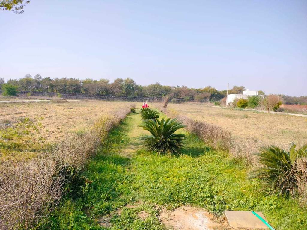  shyam residency green Plot