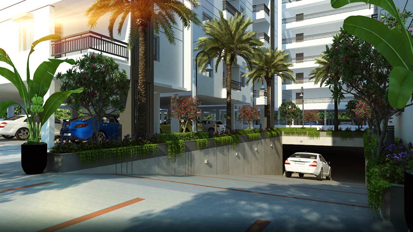  delight heights Elevation