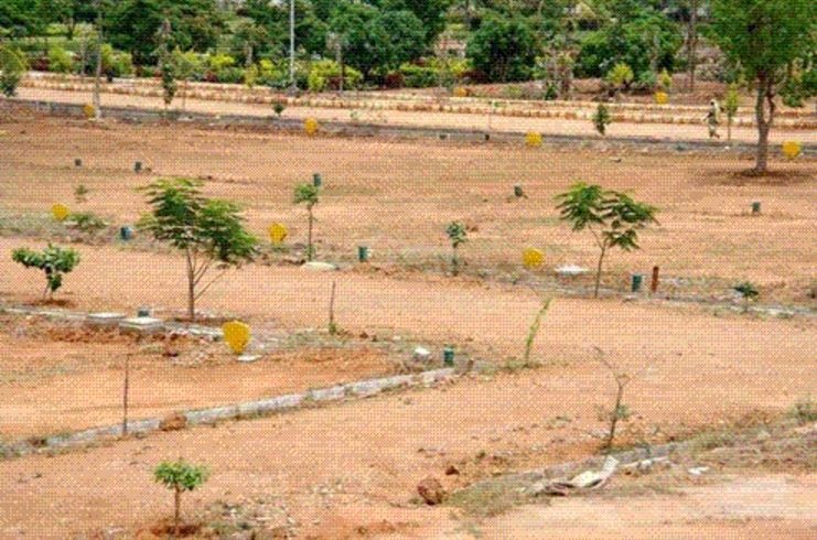  loftline phase 3 Elevation