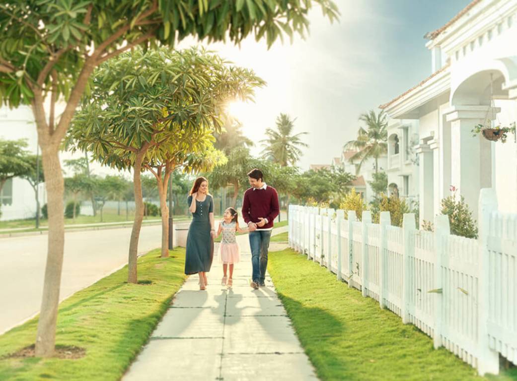  loftline phase 3 Others