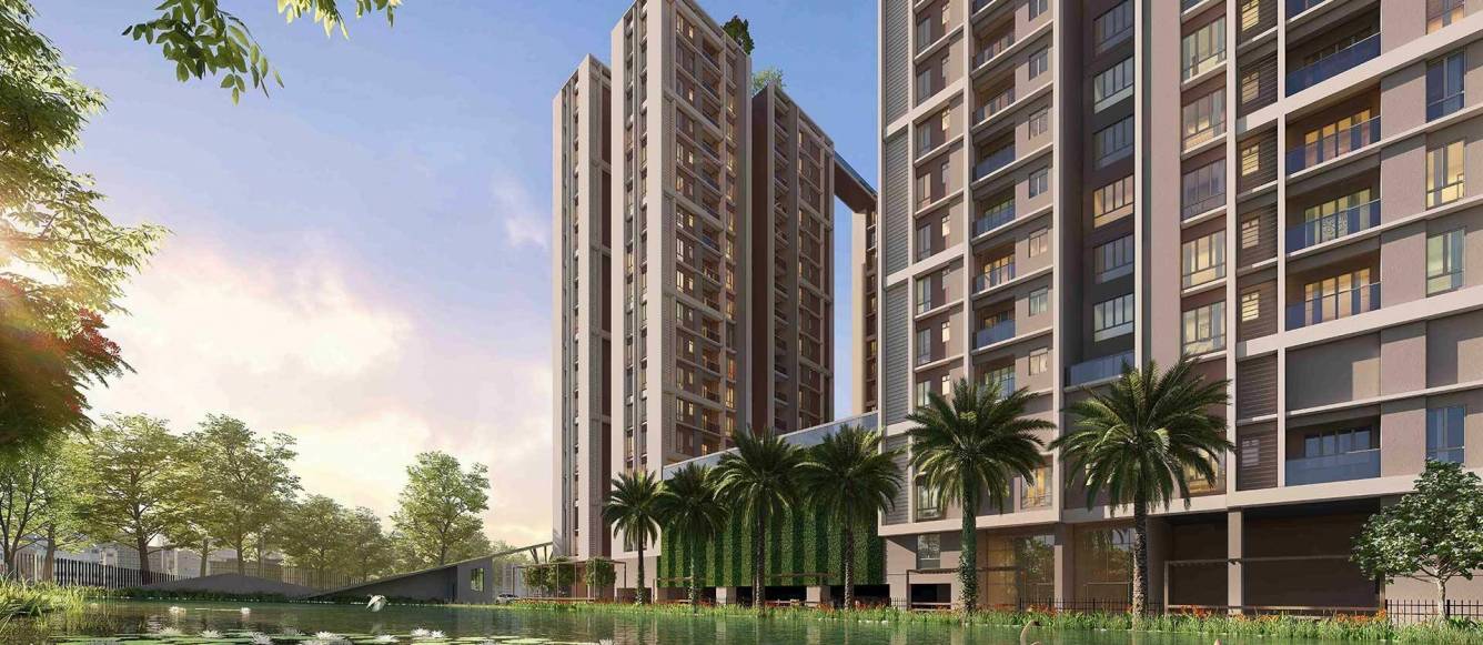 laguna bay Elevation