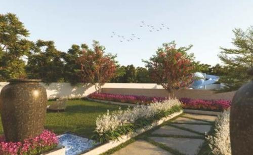  marigold Landscape Garden and Tree Planting