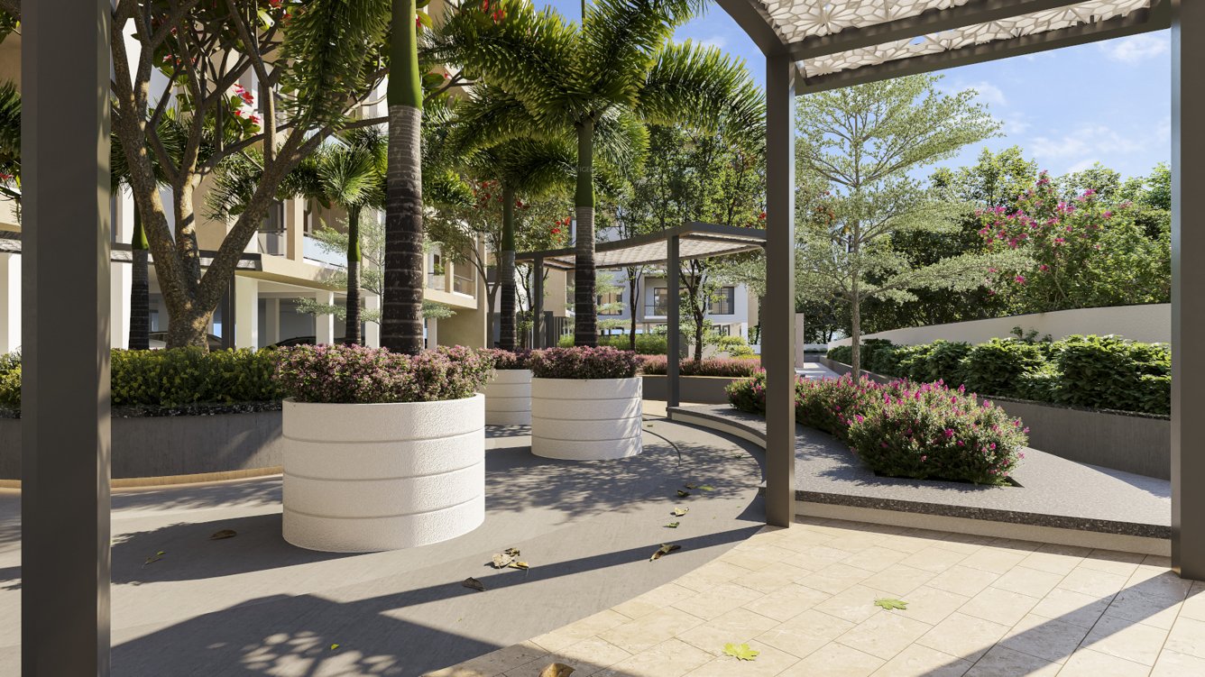  delight Landscape Garden and Tree Planting