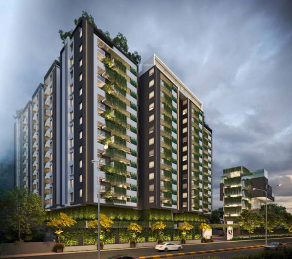 Elevation vue Elevation