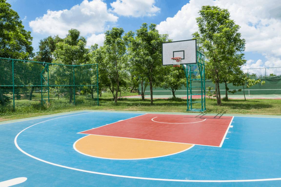  nirvana Basketball Court