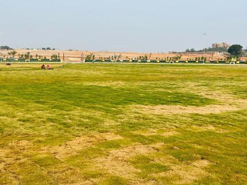  vnr-aerocity Landscape Garden and Tree Planting