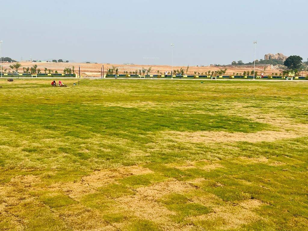  vnr aerocity Landscape Garden and Tree Planting