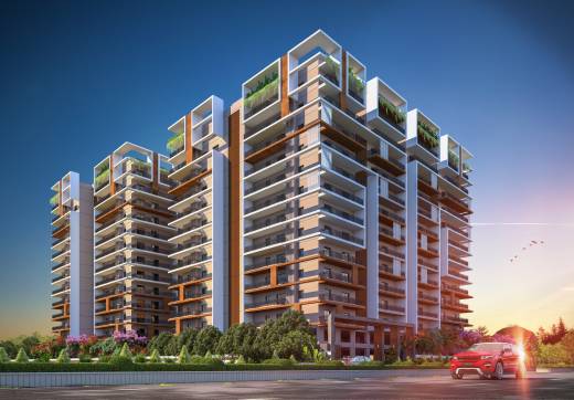 emerald Elevation Elevation