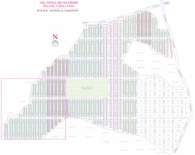  peacock-avenue Layout Plan