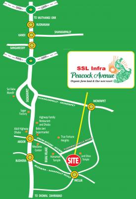  peacock-avenue Location Plan